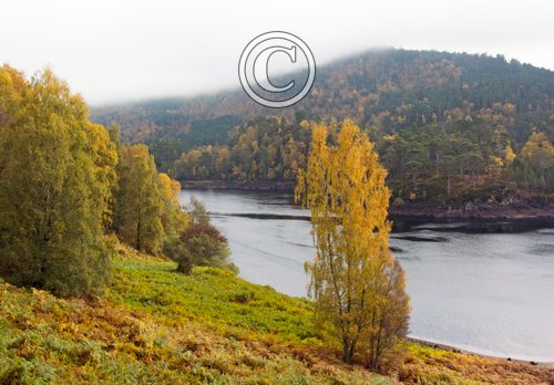 Glen Affric Scotland DM2115